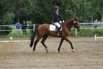 Bild 206 - WBO-Turnier am 18.9.11